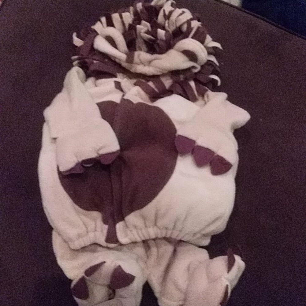 Lion Dress up costume